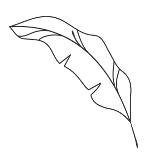 Shape Image